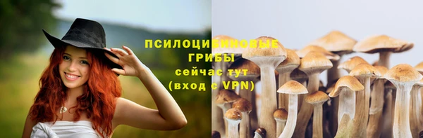 кристаллы Гусев