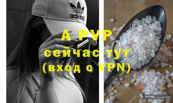 спиды Гусиноозёрск