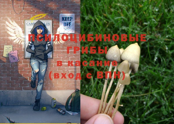 герыч Гусь-Хрустальный