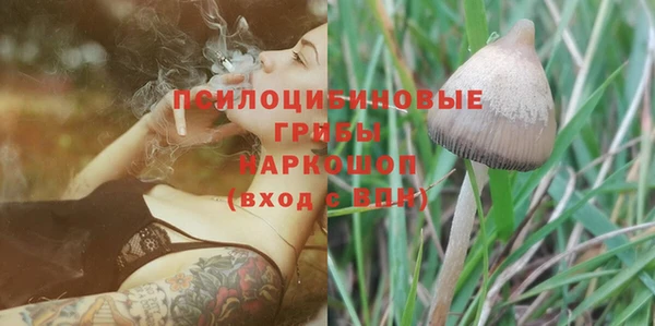 спиды Гусиноозёрск