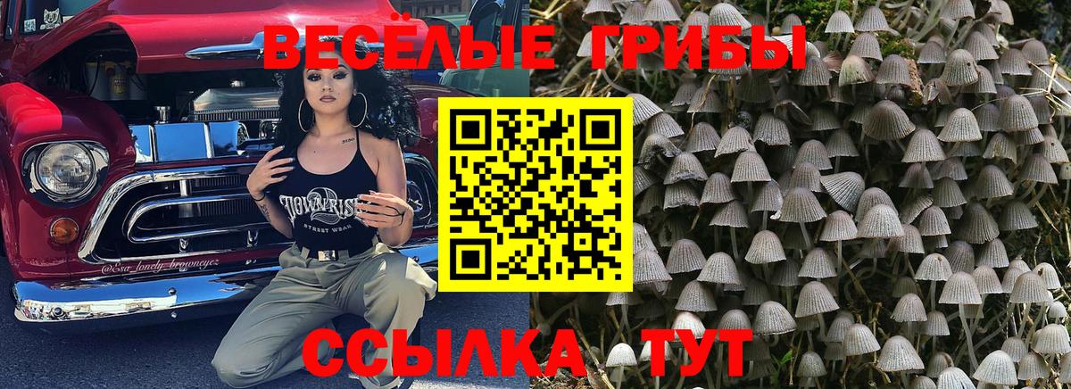Псилоцибиновые грибы мухоморы Москва
