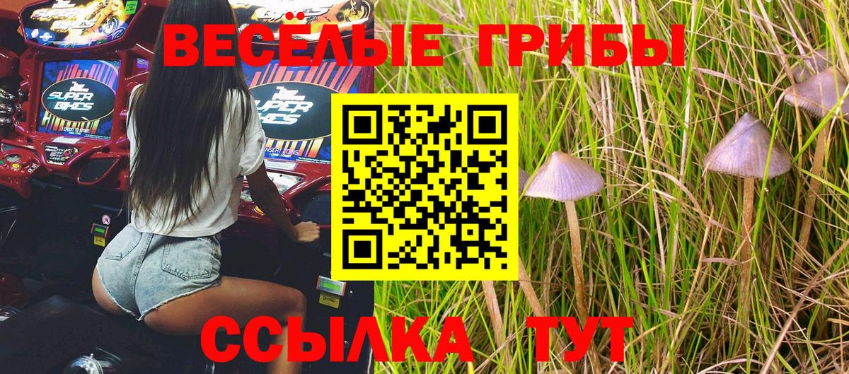 Псилоцибиновые грибы мухоморы  Вход с VPN  Москва  Псилоцибиновые грибы прущие грибы 